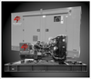 Wildcat RO0030 20/30kW Roughneck NG-LP Prime Power Generator